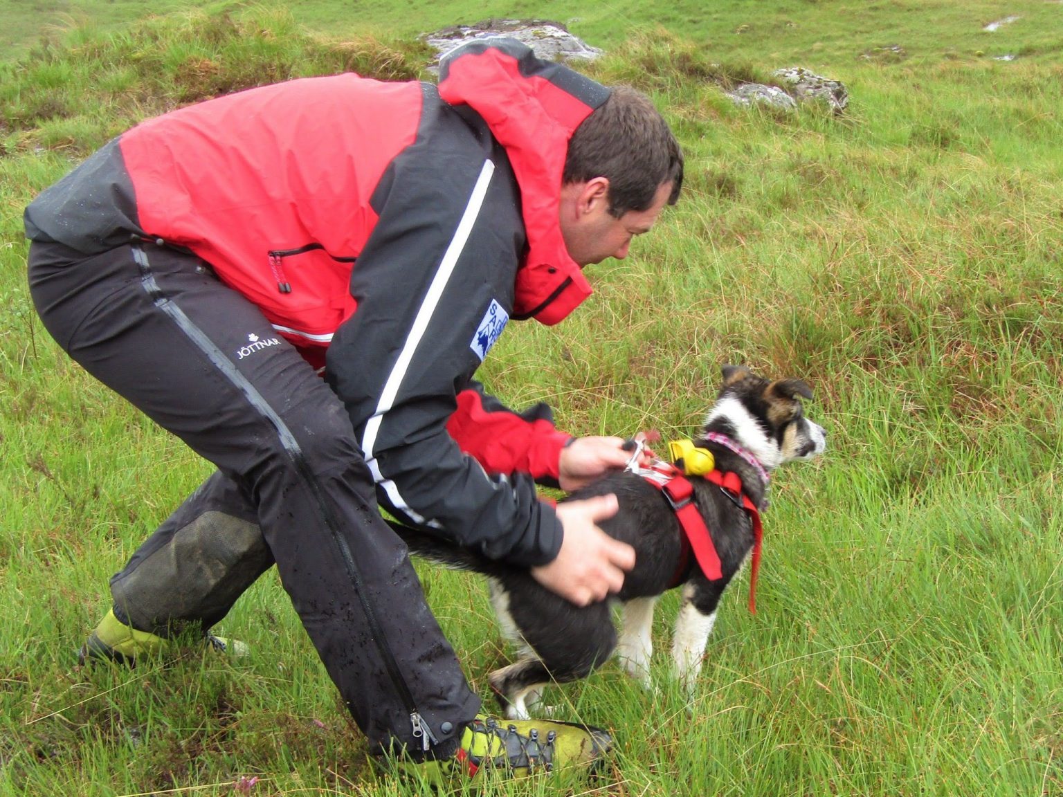 Q & A with a SARDA Search Dog Handler Scottish Mountain Rescue